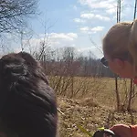 Haus Am Wald 4* Braunlage