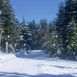 Guest house Haus Am Wald