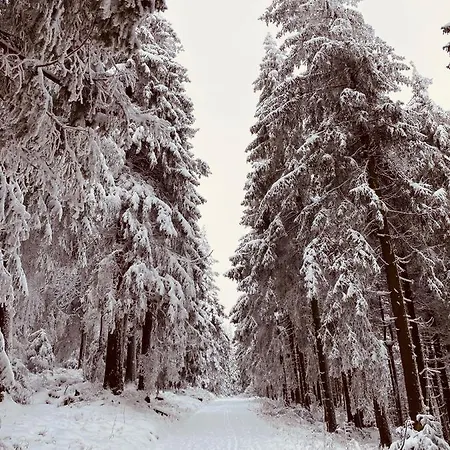 Haus Am Wald 4*