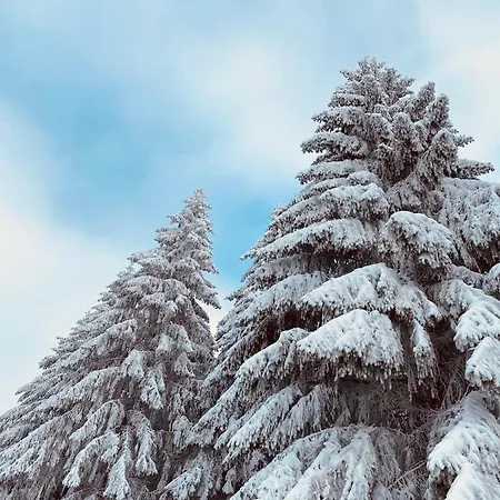 Haus Am Wald Penzion