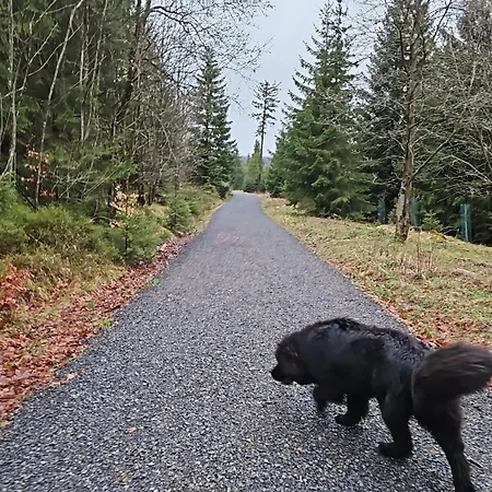 Haus Am Wald Penzion Braunlage