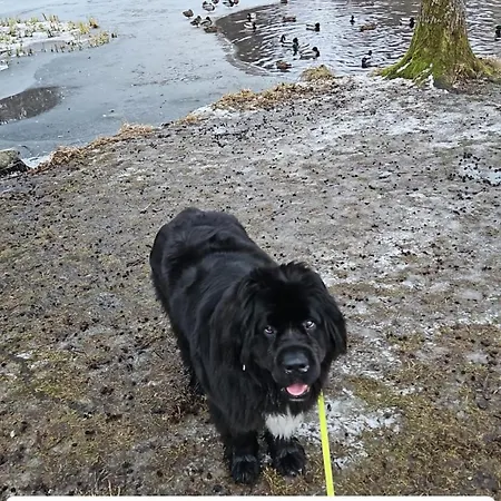 Haus Am Wald Braunlage