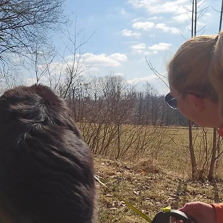 Haus Am Wald 4* Braunlage