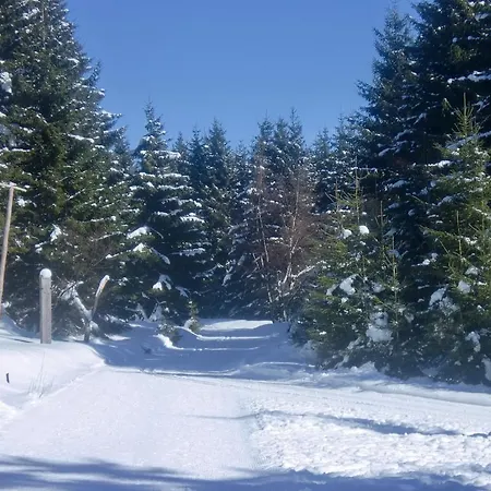 Pensión Haus Am Wald