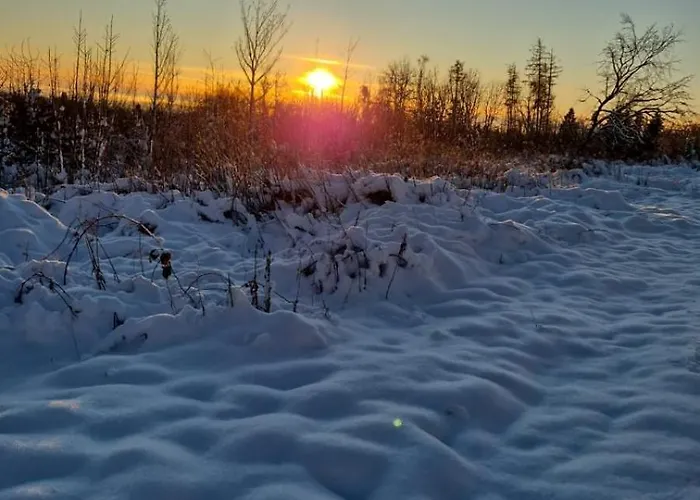 Haus Am Wald 4* 브라운라제